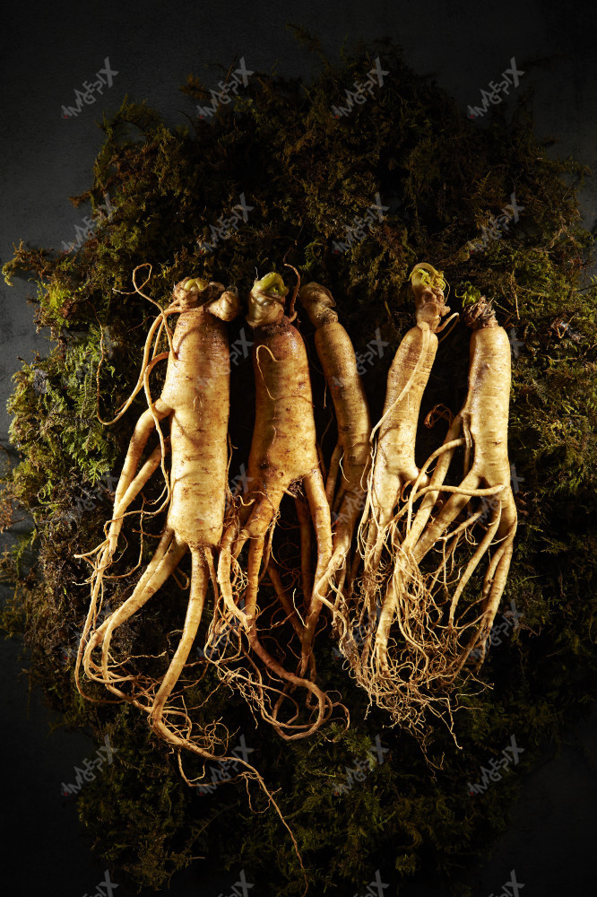 한약재 인삼 음식 식재료